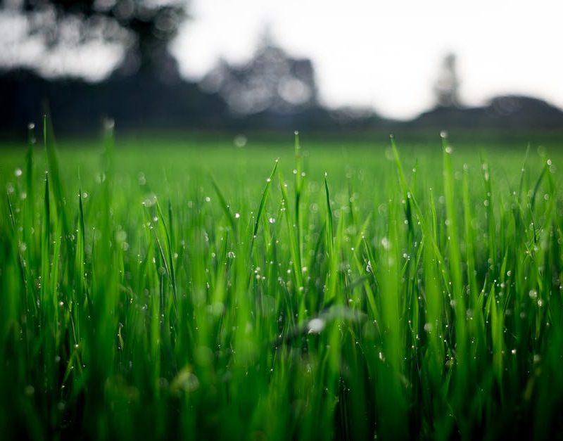 How To Be More Environment Friendly In Everyday Life