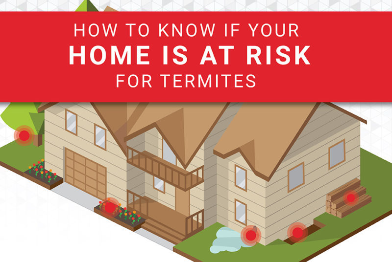 Are Termites Making a Meal of Your Home