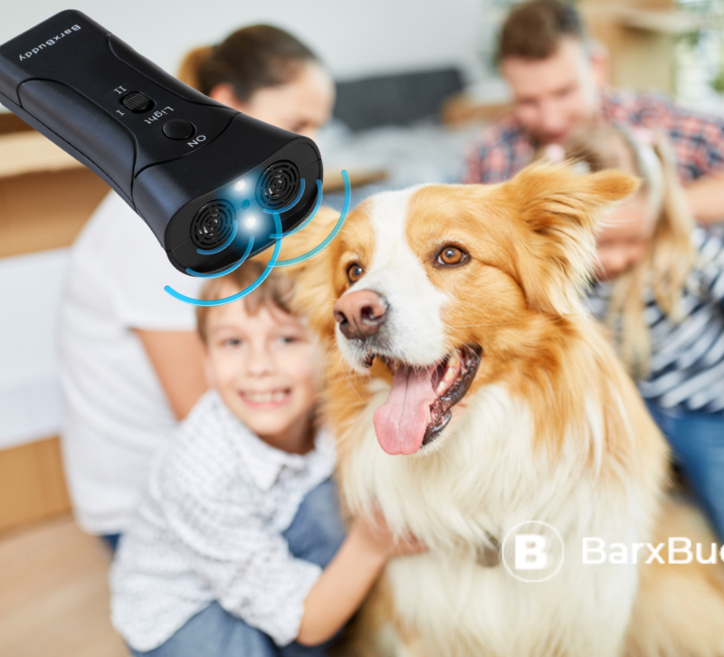 BarxBuddy Is Our Favorite Family-Friendly Dog Training Device 