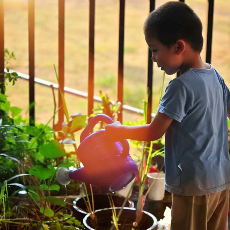 3 Outdoor Chores To Give Your Kids This Summer