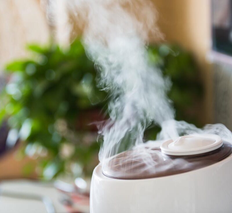 How to Choose the Best Humidifier