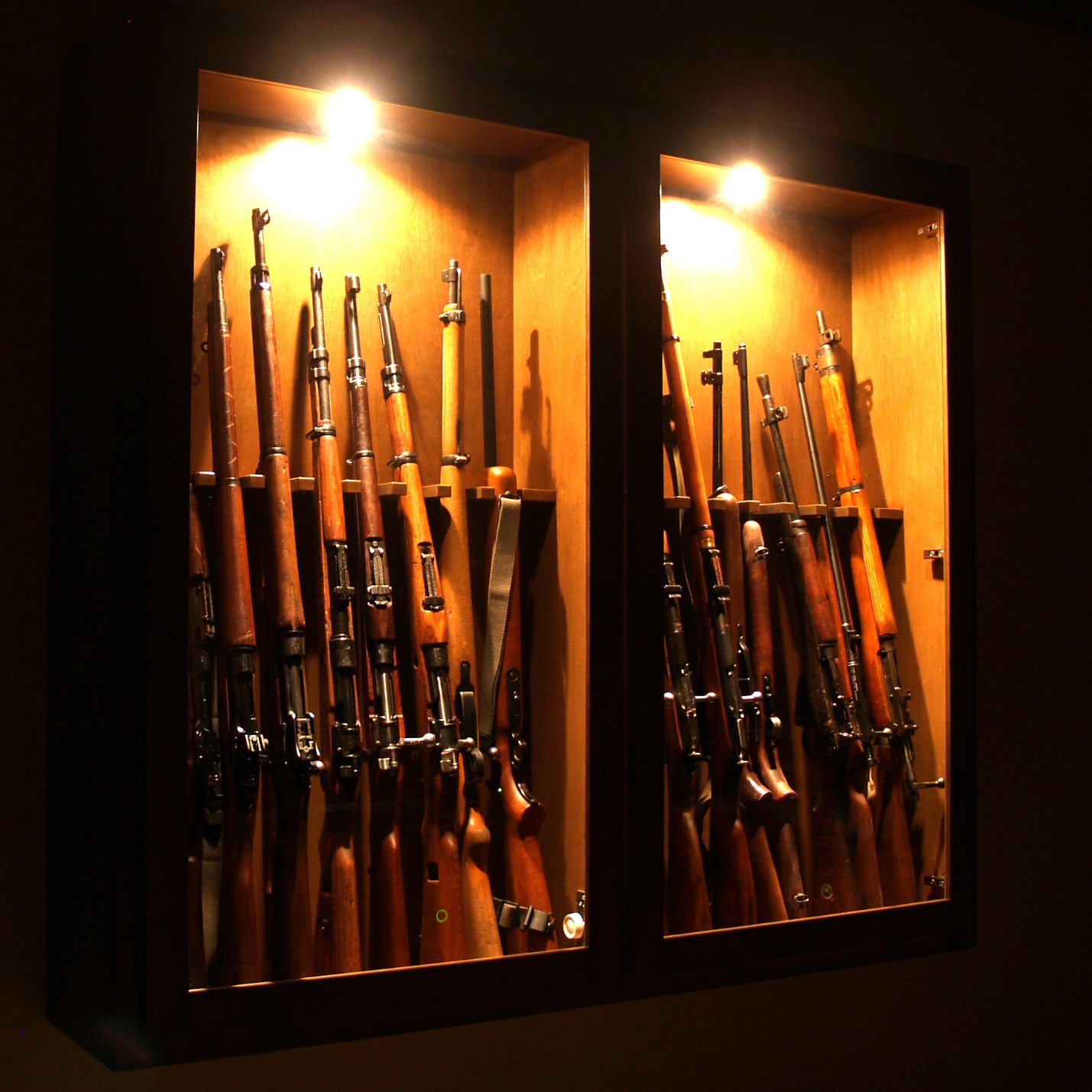 Looking For A New Gun Safe For Your Apartment?