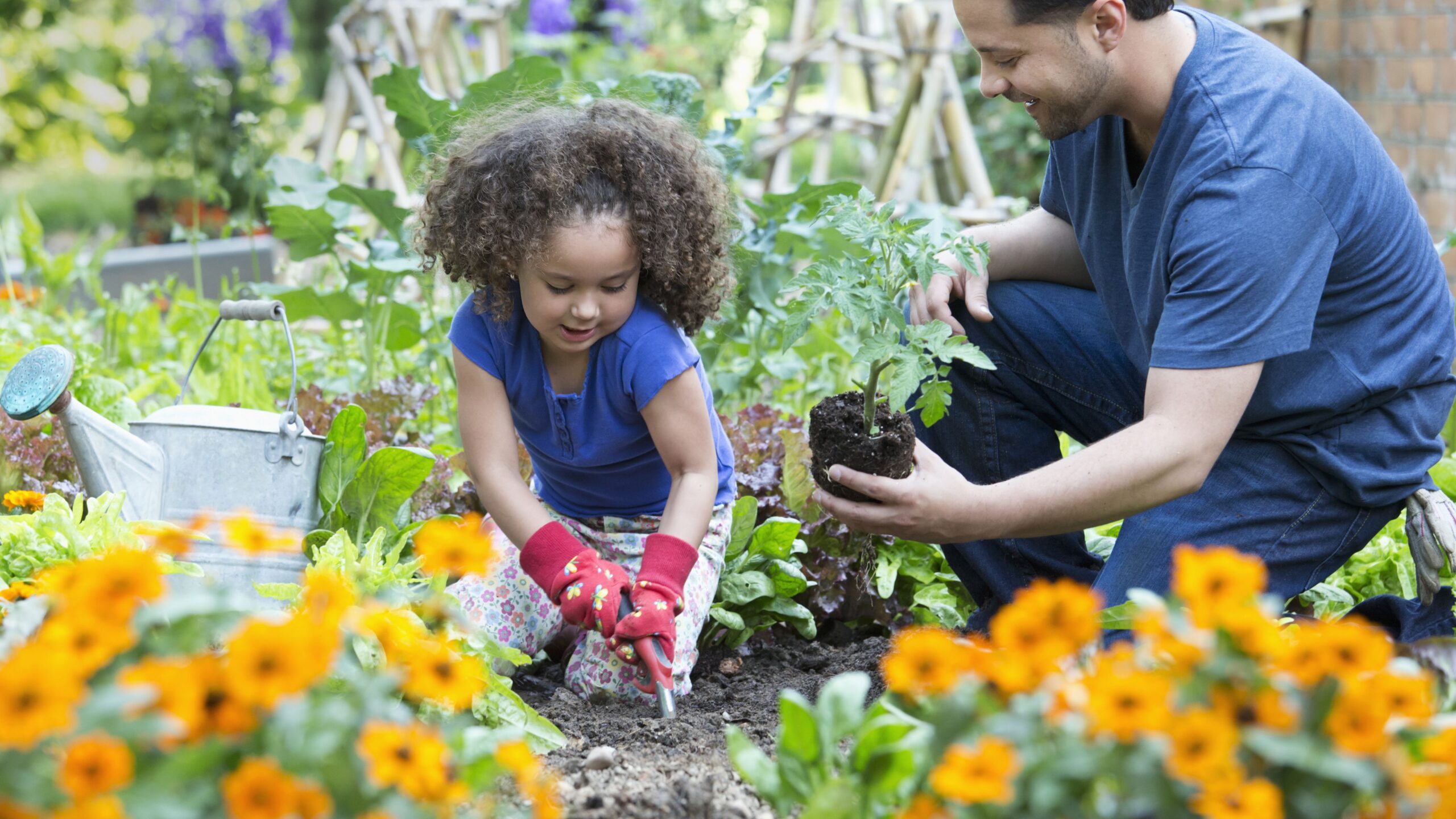 3 Things To Teach Your Kids About Helping In the Garden