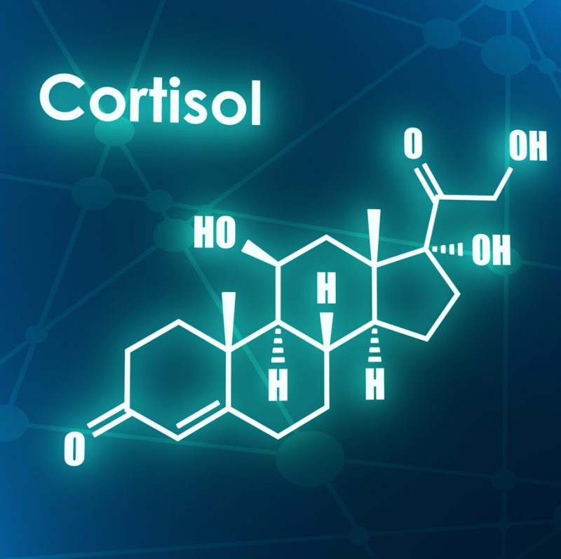 How To Reduce Cortisol Levels: A Practical Guide